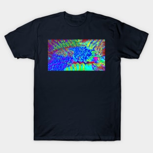 Climb T-Shirt